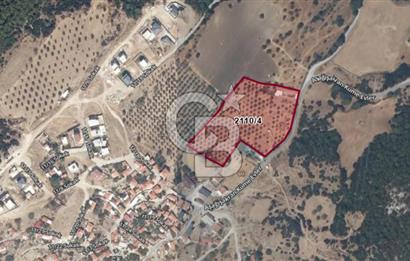 ALİAĞA AŞAĞIŞAKRANDA DENİZ MANZARALI 12.5 DÖNÜM TARLA VE ÇİFTLİK