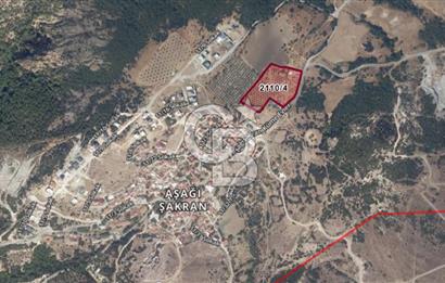 ALİAĞA AŞAĞIŞAKRANDA DENİZ MANZARALI 12.5 DÖNÜM TARLA VE ÇİFTLİK