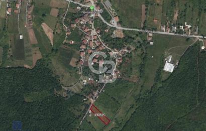 BEYKOZ’DA İMAR DÜZENLENMESİNE ALINMIŞ *FIRSAT* TEK TAPU ARAZİ