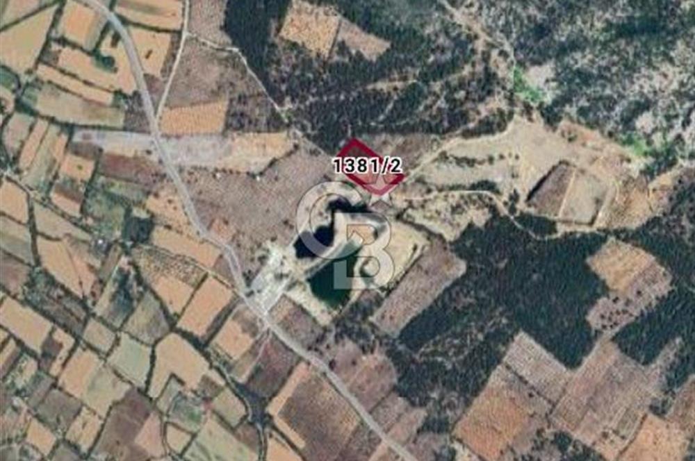 Muğla Menteşe de  satılık zeytinlik tarla