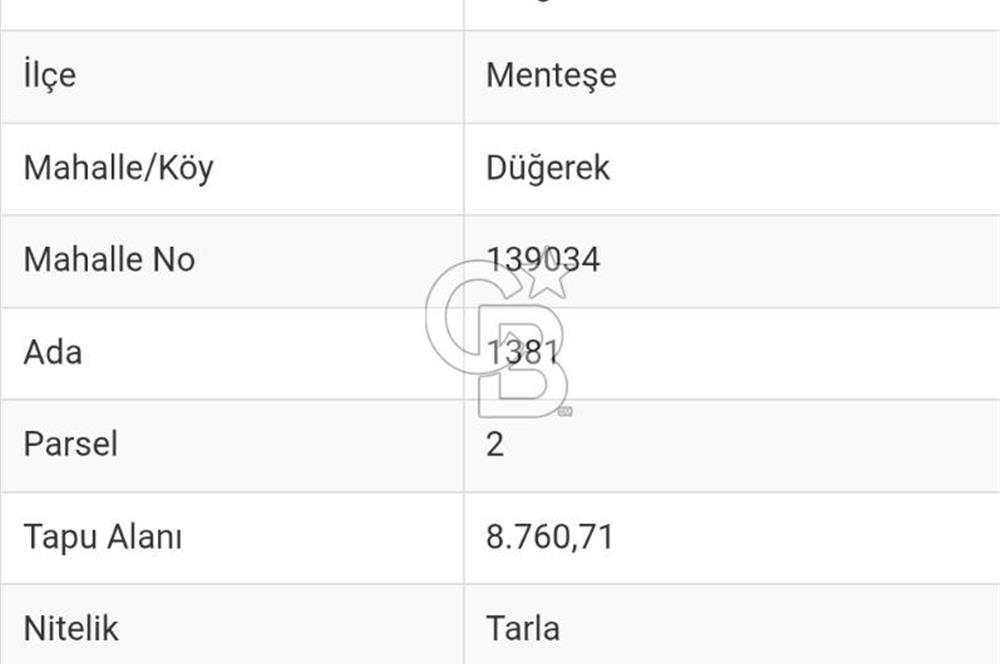 Muğla Menteşe de  satılık zeytinlik tarla