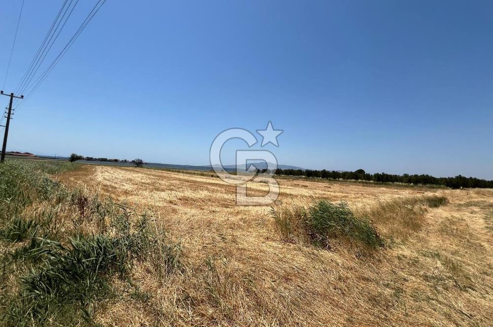 FOÇA YENİ BAĞARASINDA SATILIK 1787M2 HOBİ BAHÇESİ