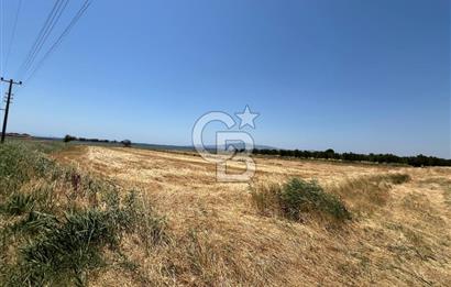 FOÇA YENİ BAĞARASINDA SATILIK 1787M2 HOBİ BAHÇESİ