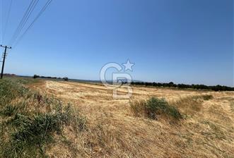 FOÇA YENİ BAĞARASINDA SATILIK 1787M2 HOBİ BAHÇESİ