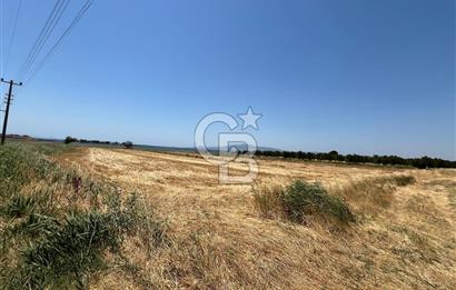 FOÇA YENİ BAĞARASINDA SATILIK 1787M2 HOBİ BAHÇESİ