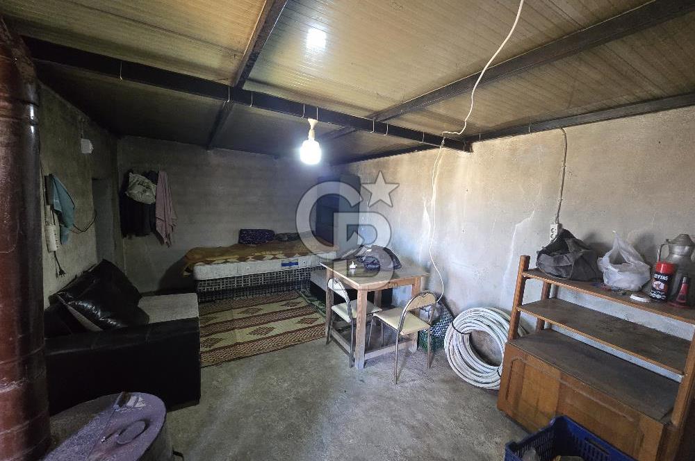 ALİAĞA AŞAĞIŞAKRANDA DENİZ MANZARALI 12.5 DÖNÜM TARLA VE ÇİFTLİK