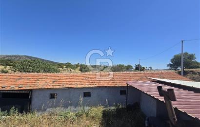 ALİAĞA AŞAĞIŞAKRANDA DENİZ MANZARALI 12.5 DÖNÜM TARLA VE ÇİFTLİK