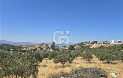 ALİAĞA AŞAĞIŞAKRANDA DENİZ MANZARALI 12.5 DÖNÜM TARLA VE ÇİFTLİK