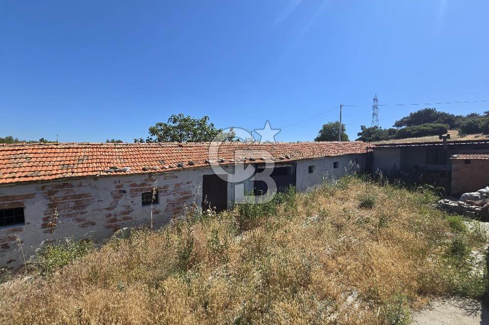 ALİAĞA AŞAĞIŞAKRANDA DENİZ MANZARALI 12.5 DÖNÜM TARLA VE ÇİFTLİK