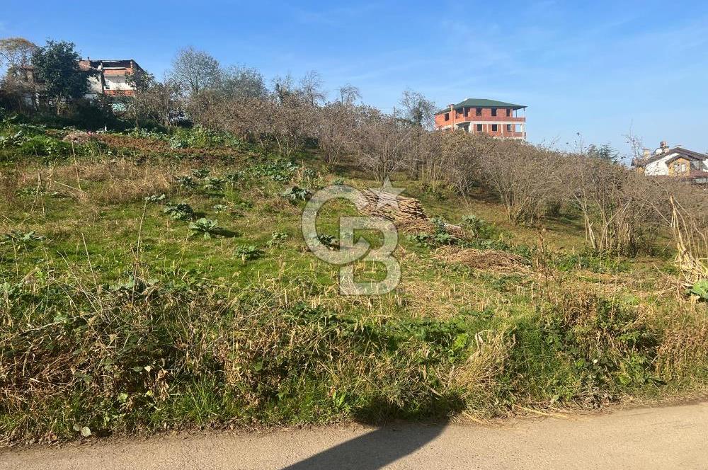TRABZON ÇİMENLİ'DE EĞİMSİZ, ANAYOLA YAKIN 1136 M2 SATILIK ARAZİ
