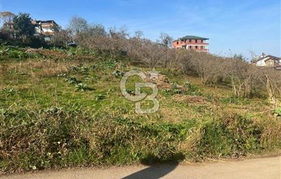 TRABZON ÇİMENLİ'DE EĞİMSİZ, ANAYOLA YAKIN 1136 M2 SATILIK ARAZİ