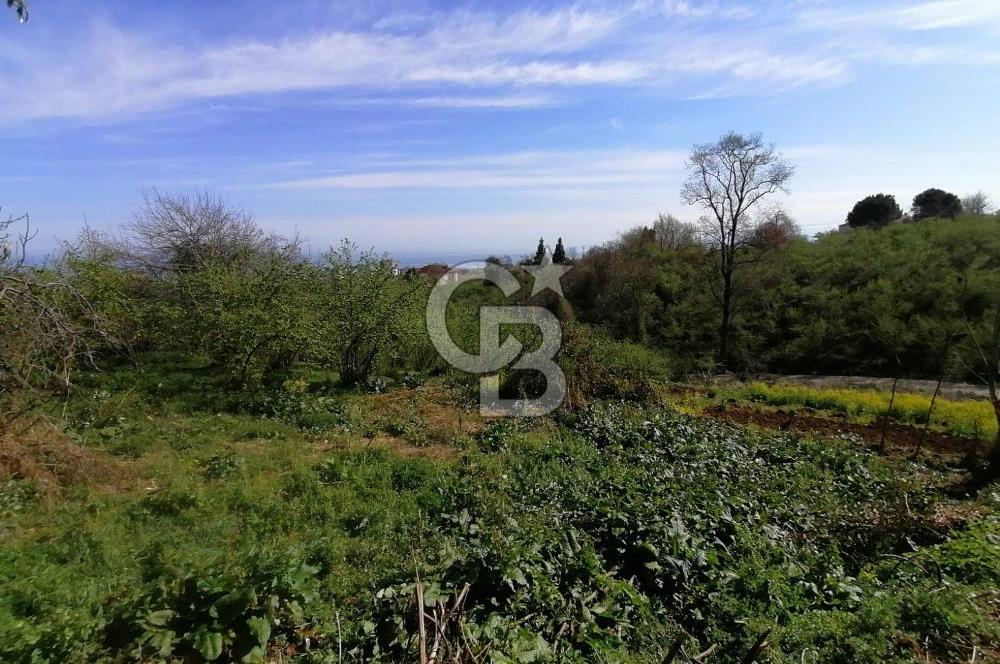 TRABZON ÇİMENLİ'DE EĞİMSİZ, ANAYOLA YAKIN 1136 M2 SATILIK ARAZİ