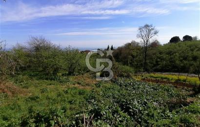 TRABZON ÇİMENLİ'DE EĞİMSİZ, ANAYOLA YAKIN 1136 M2 SATILIK ARAZİ