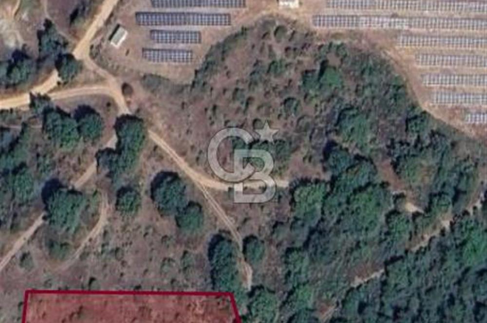SATILIK YATIRIMLIK ARSA – DURSUNBEY SARNIÇ MAHALLESİ