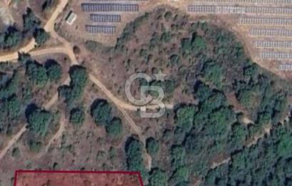 SATILIK YATIRIMLIK ARSA – DURSUNBEY SARNIÇ MAHALLESİ