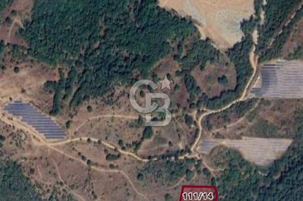 SATILIK YATIRIMLIK ARSA – DURSUNBEY SARNIÇ MAHALLESİ