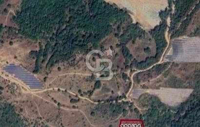 SATILIK YATIRIMLIK ARSA – DURSUNBEY SARNIÇ MAHALLESİ