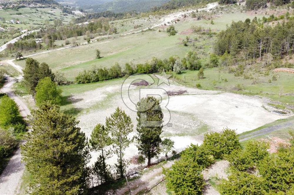 KELES YENİCE MAHALLESİNDE ANAYOLA CEPHE SATILIK TARLA