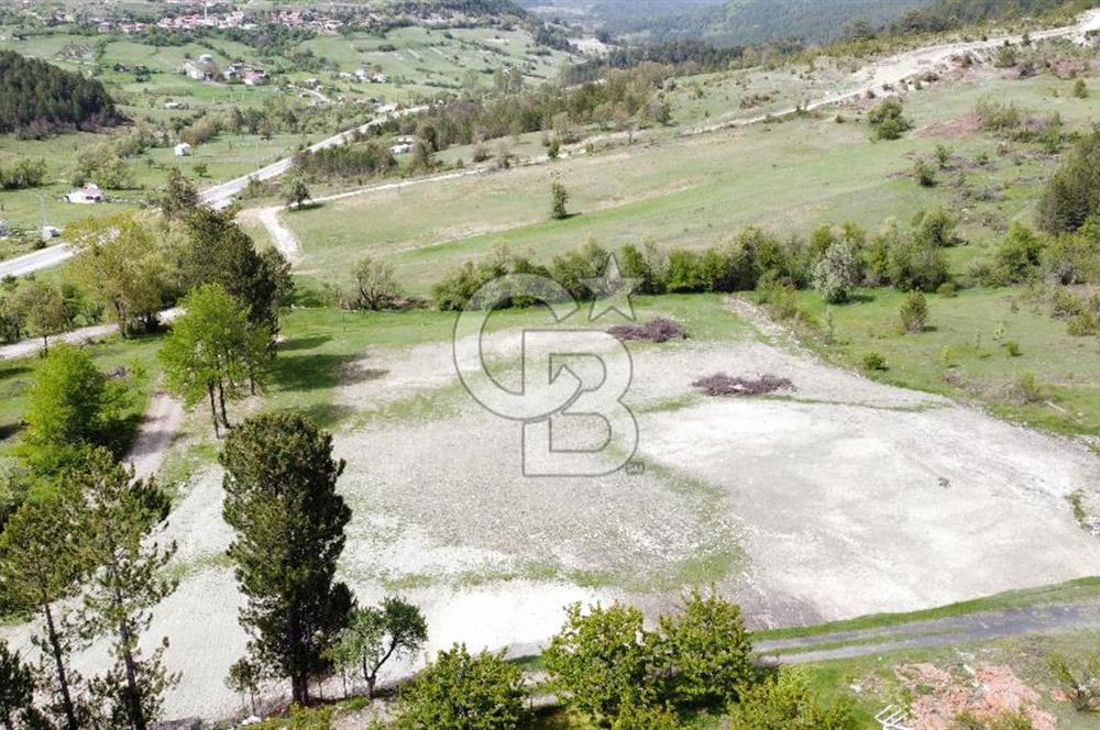 KELES YENİCE MAHALLESİNDE ANAYOLA CEPHE SATILIK TARLA
