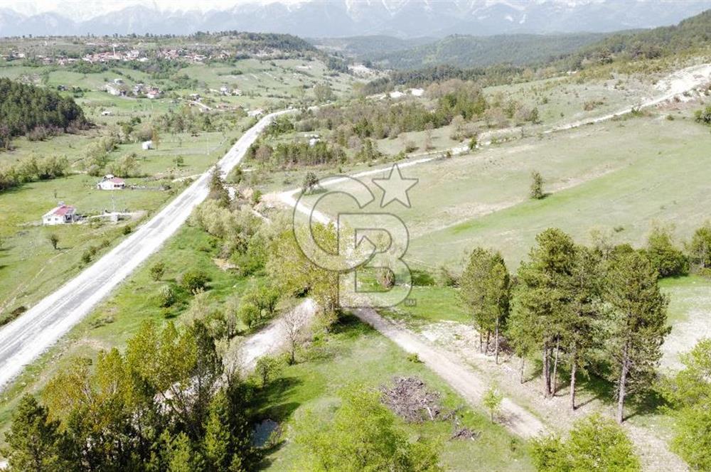 KELES YENİCE MAHALLESİNDE ANAYOLA CEPHE SATILIK TARLA