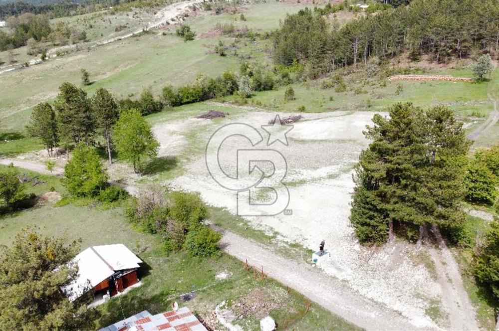 KELES YENİCE MAHALLESİNDE ANAYOLA CEPHE SATILIK TARLA