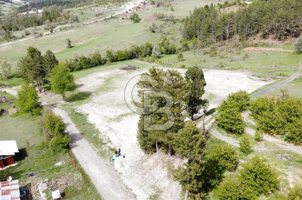 KELES YENİCE MAHALLESİNDE ANAYOLA CEPHE SATILIK TARLA