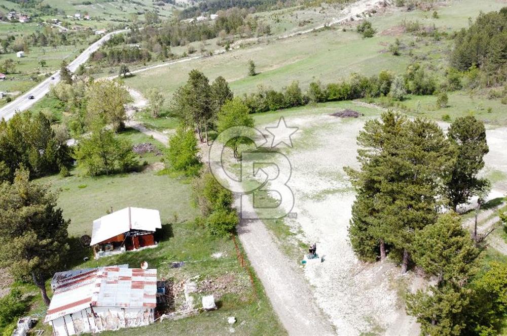 KELES YENİCE MAHALLESİNDE ANAYOLA CEPHE SATILIK TARLA