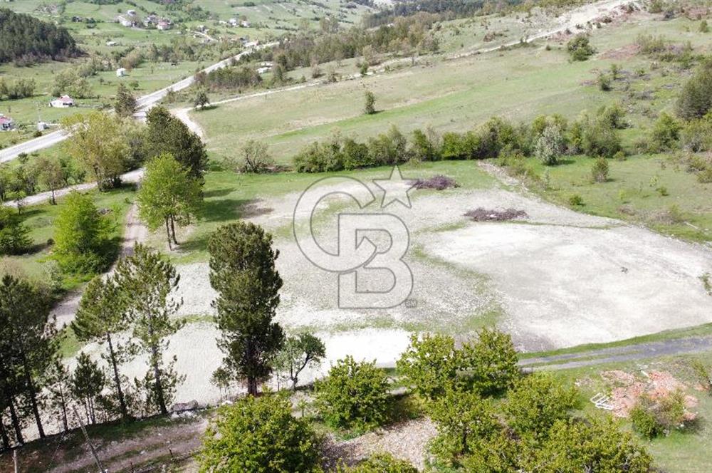 KELES YENİCE MAHALLESİNDE ANAYOLA CEPHE SATILIK TARLA