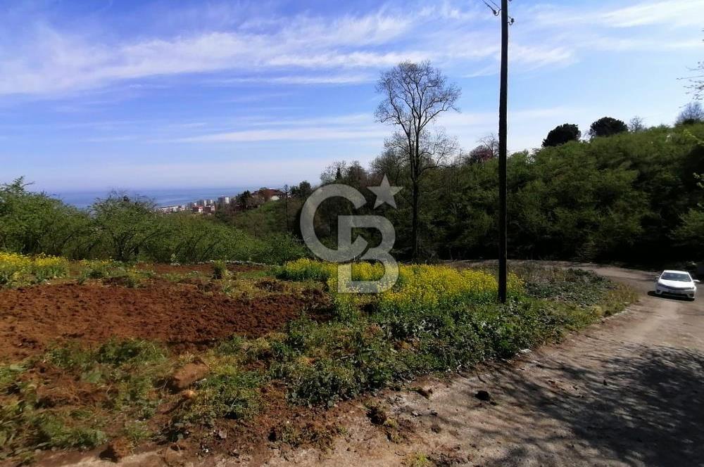 TRABZON ÇİMENLİ'DE EĞİMSİZ, ANAYOLA YAKIN 1136 M2 SATILIK ARAZİ