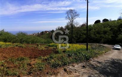 TRABZON ÇİMENLİ'DE EĞİMSİZ, ANAYOLA YAKIN 1136 M2 SATILIK ARAZİ
