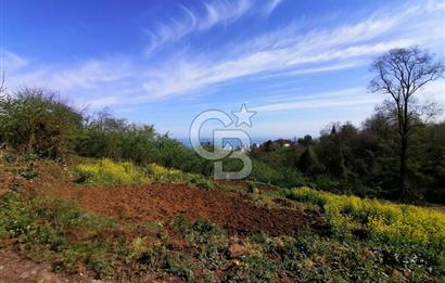 TRABZON ÇİMENLİ'DE EĞİMSİZ, ANAYOLA YAKIN 1136 M2 SATILIK ARAZİ
