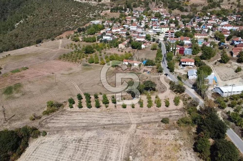 SAKARYA TARAKLI KEMALLER KÖYÜNDE 1552 METRE KARE  %40 İMARLI SATILIK ARSA 