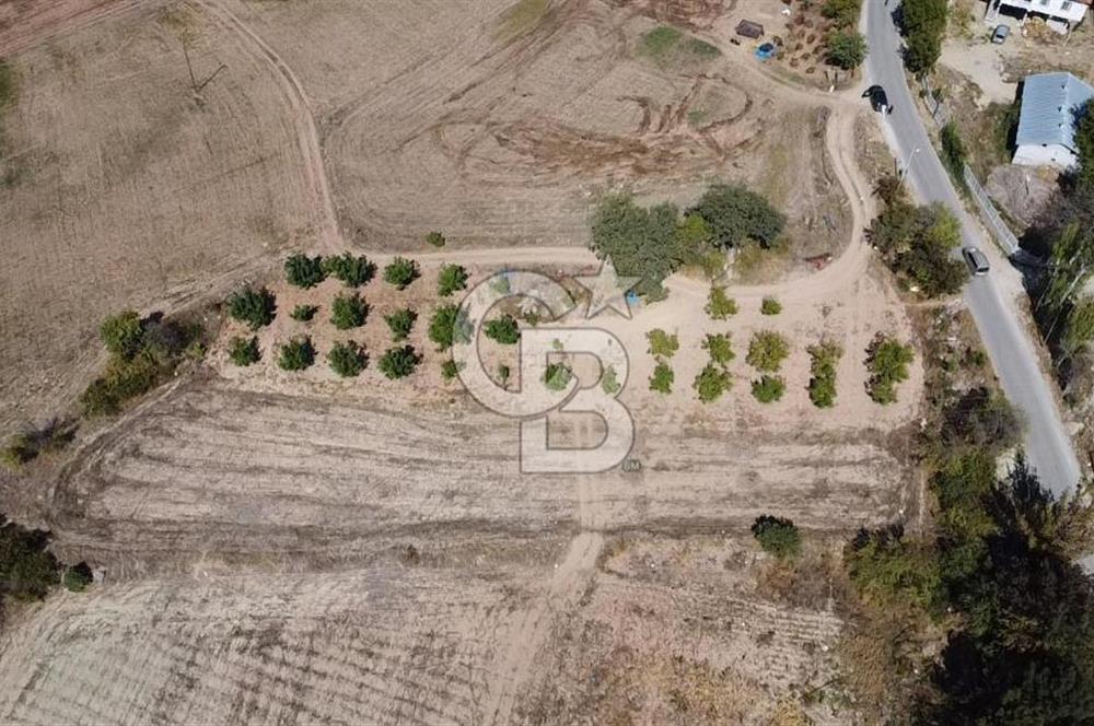 SAKARYA TARAKLI KEMALLER KÖYÜNDE 1552 METRE KARE  %40 İMARLI SATILIK ARSA 
