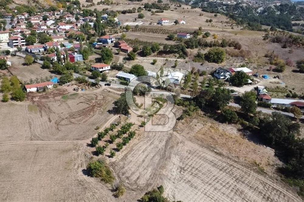 SAKARYA TARAKLI KEMALLER KÖYÜNDE 1552 METRE KARE  %40 İMARLI SATILIK ARSA 