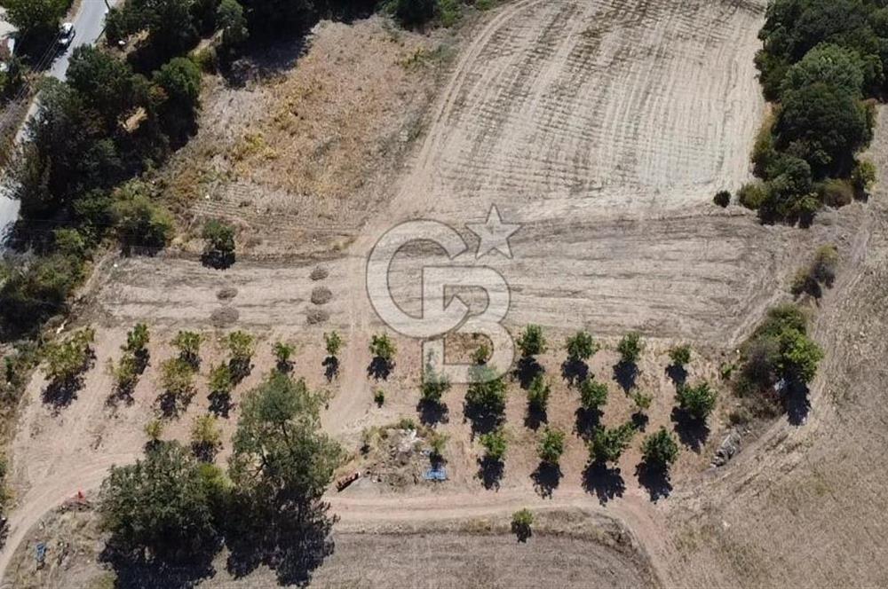 SAKARYA TARAKLI KEMALLER KÖYÜNDE 1552 METRE KARE  %40 İMARLI SATILIK ARSA 