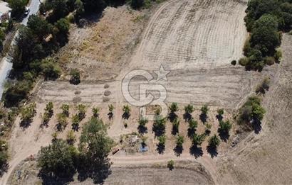 SAKARYA TARAKLI KEMALLER KÖYÜNDE 1552 METRE KARE  %40 İMARLI SATILIK ARSA 