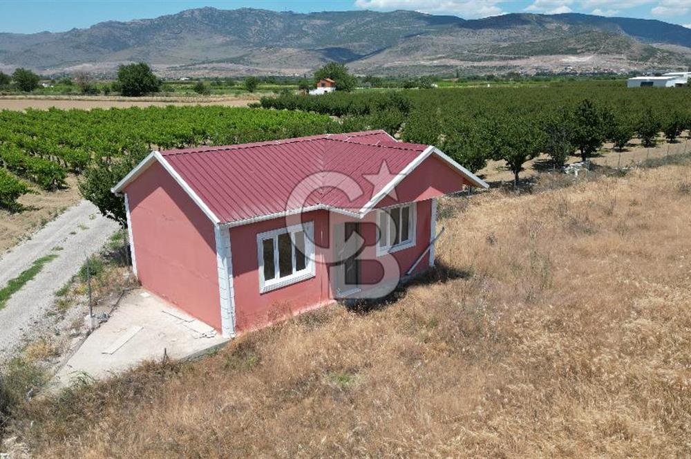 COLDWELL BANKER İYA’DAN MENEMEN MERMERLİDE SATILIK TARLA  ARAZİ