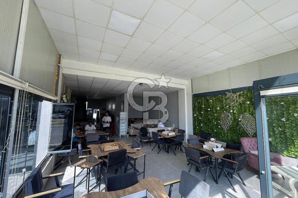 CB'DEN ÜNİVERSİTE BÖLGESİNDE SATILIK CADDE ÜZERİ CAFE