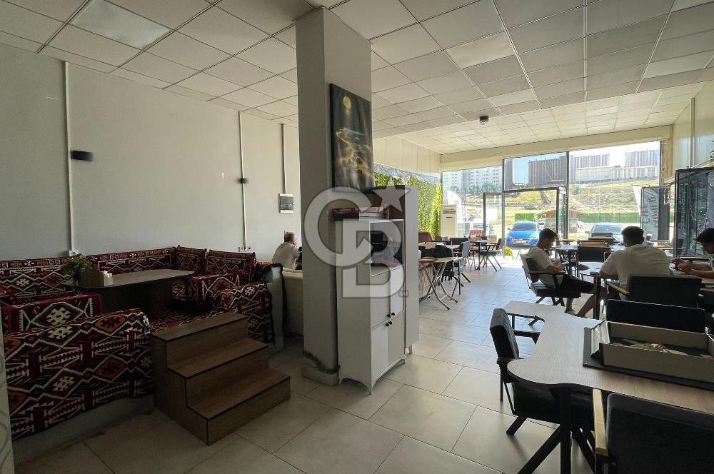 CB'DEN ÜNİVERSİTE BÖLGESİNDE SATILIK CADDE ÜZERİ CAFE