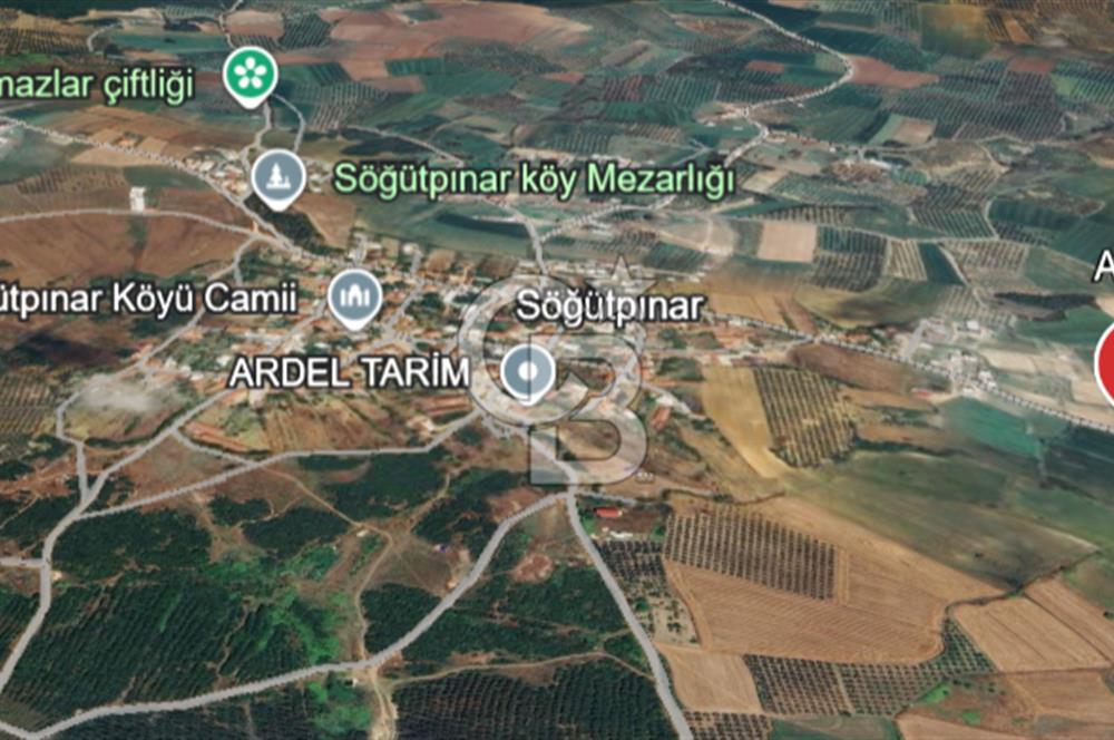 MUDANYA SÖĞÜTPINAR'DA YATIRIMLIK TARLA