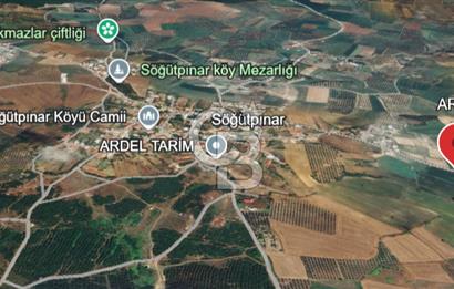 MUDANYA SÖĞÜTPINAR'DA YATIRIMLIK TARLA