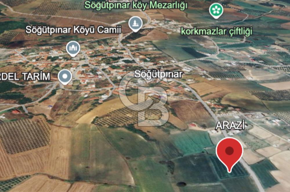 MUDANYA SÖĞÜTPINAR'DA YATIRIMLIK TARLA