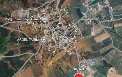 MUDANYA SÖĞÜTPINAR'DA YATIRIMLIK TARLA
