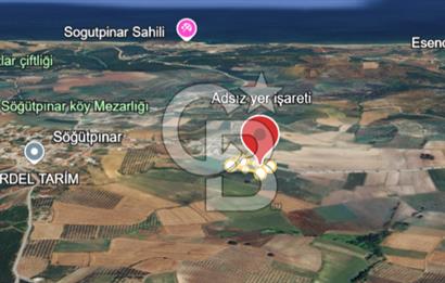 MUDANYA SÖĞÜTPINAR'DA YATIRIMLIK TARLA