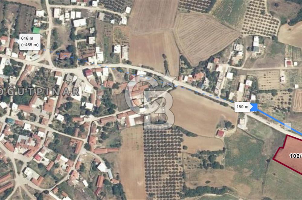 MUDANYA SÖĞÜTPINAR'DA YATIRIMLIK TARLA