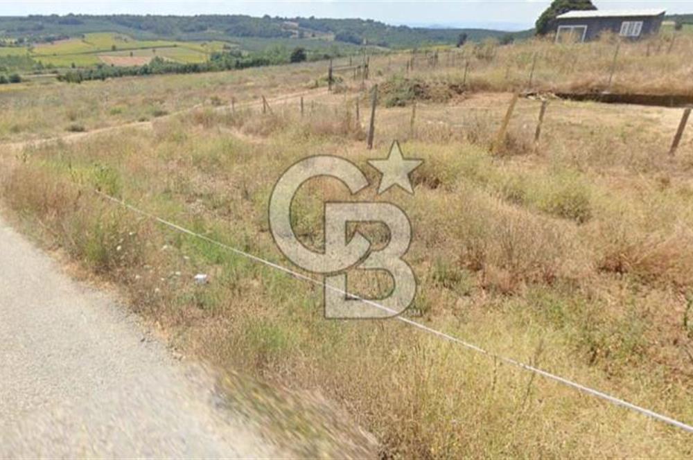 MUDANYA SÖĞÜTPINAR'DA YATIRIMLIK TARLA