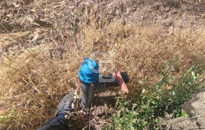 AKHİSAR KAPAKLIDA YÜKSEK VERİMLİ 41250 M2 ZEYTİNLİK