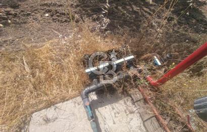 AKHİSAR KAPAKLIDA YÜKSEK VERİMLİ 41250 M2 ZEYTİNLİK