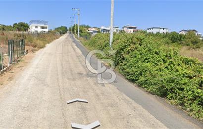 MUDANYA SÖĞÜTPINAR'DA YATIRIMLIK TARLA