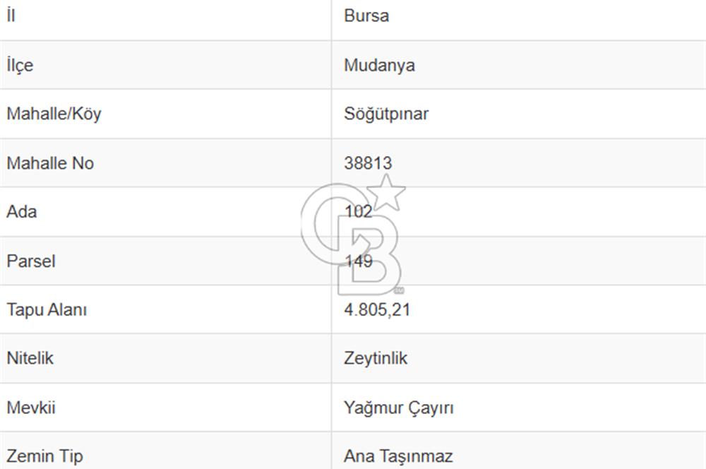 MUDANYA SÖĞÜTPINAR'DA YATIRIMLIK TARLA